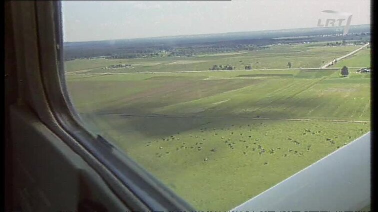 Panoramos archyvai. Aviacijos šventė