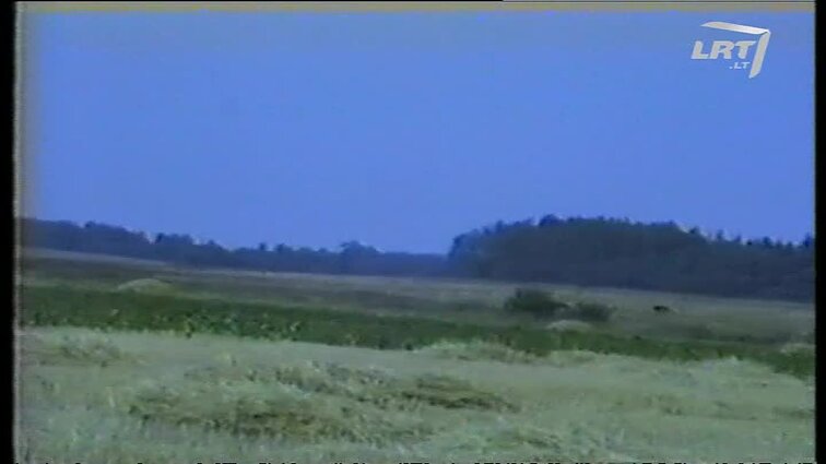 Panoramos archyvai. Paminėtas Minorių kaimas