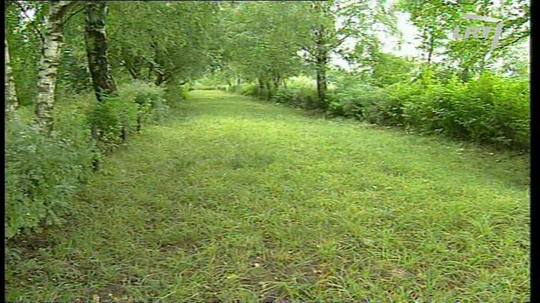 Panoramos archyvai. Genocido aukų minėjimas