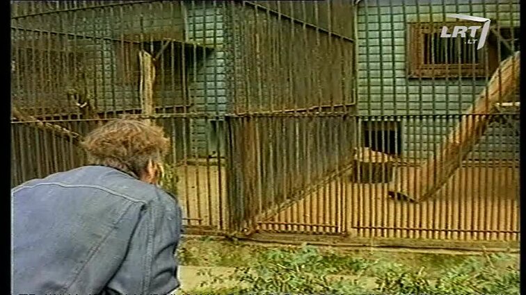 Panoramos archyvai. Kauno zoologijos sodas