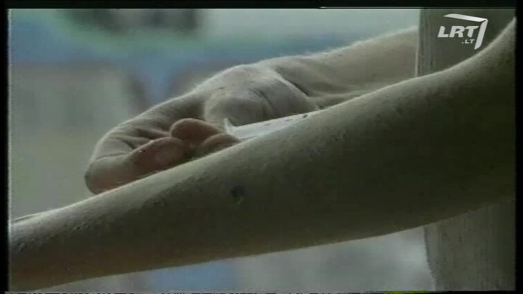 Panoramos archyvai. Narkomanų reabilitacijos namas