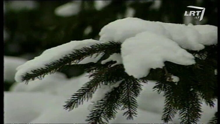 Panoramos archyvai. Orų prognozė