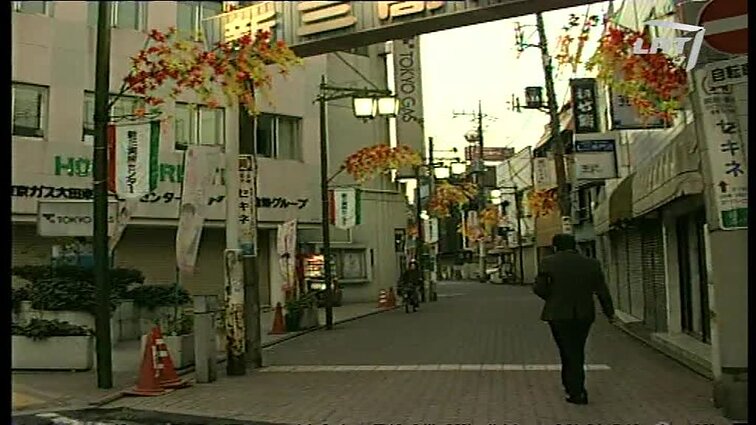 Panoramos archyvai. Gėlininkas Japonijoje