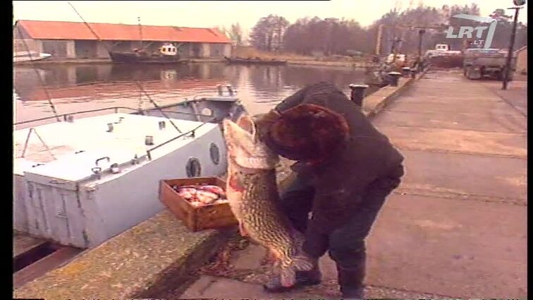 Panoramos archyvai. Kintų žvejai