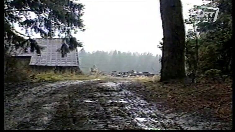 Panoramos archyvai. Sesuo išgelbėjo brolį