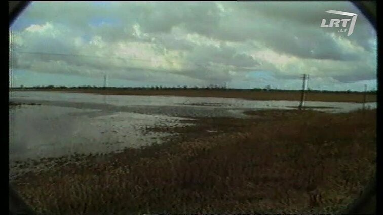 Panoramos archyvai. Potvynio zonoje