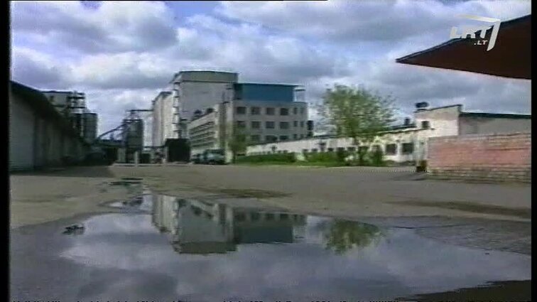 Panoramos archyvai. Varėnos grūdai. Grikių auginimas.