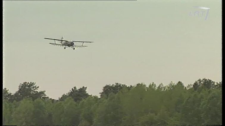 Panoramos archyvai. Miškų purškimas