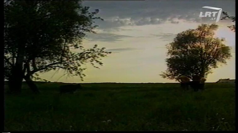 Panoramos archyvai. Amerikiečių mokslininkai Lietuvoje