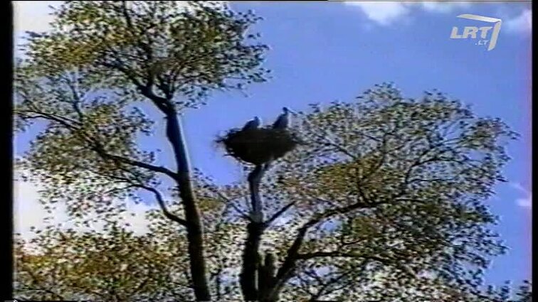 Panoramos archyvai. Nauji gimdymo namai Mažeikiuose