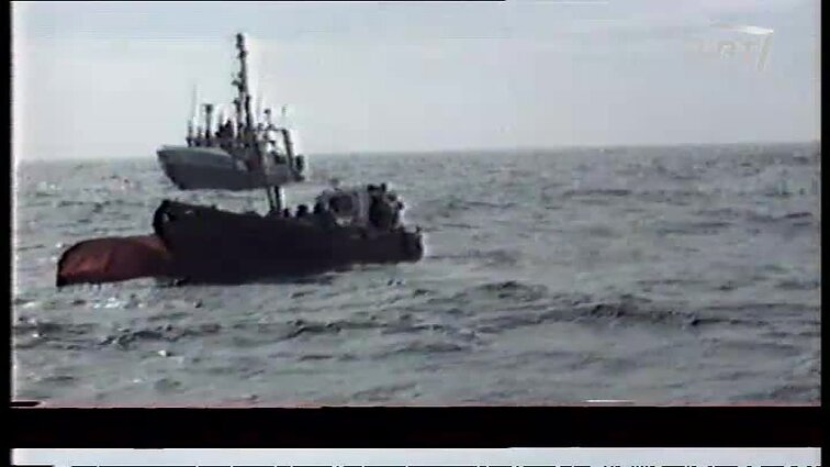 Panoramos archyvai. Pabėgėliai Švedijoje