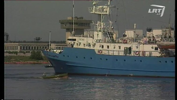 Panoramos archyvai. Klaipėdos ruoniukai gyvens prie Švedijos krantų