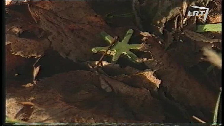 Panoramos archyvai. Minų aukos Kroatijoje