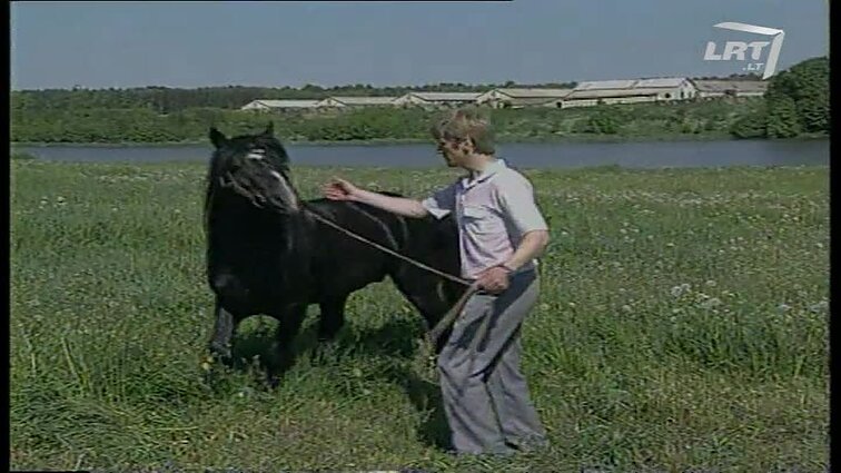 Panoramos archyvai. Vietinių veislių centrai