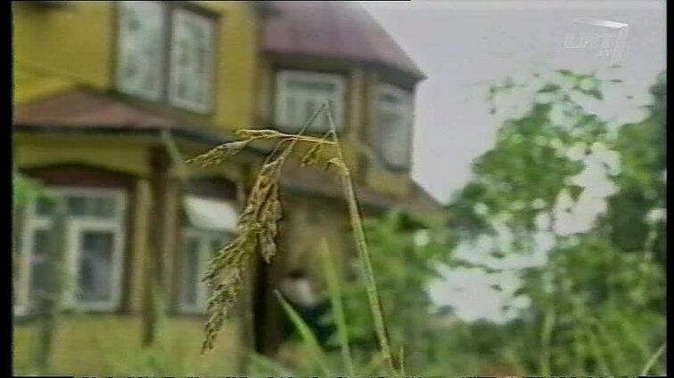 Panoramos archyvai. Metinės Eugenijaus Matuzevičiaus sodyboje