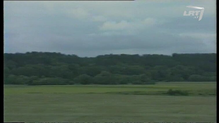 Panoramos archyvai. Paminklas Maironiui