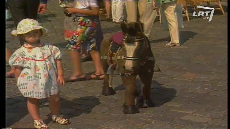 Panoramos archyvai. Festivalis „Parbėgs laivelis - 95“