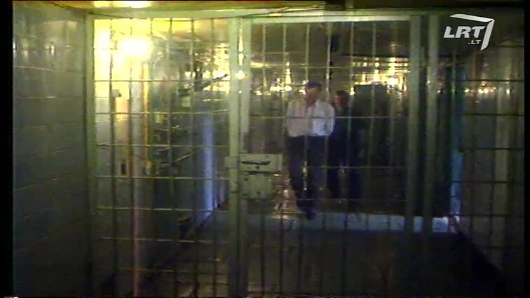 Panoramos archyvai. Rasti ginklai ir šoviniai