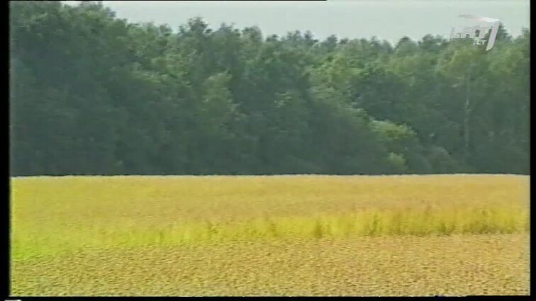 Panoramos archyvai. Prancūzų linai Upytėje