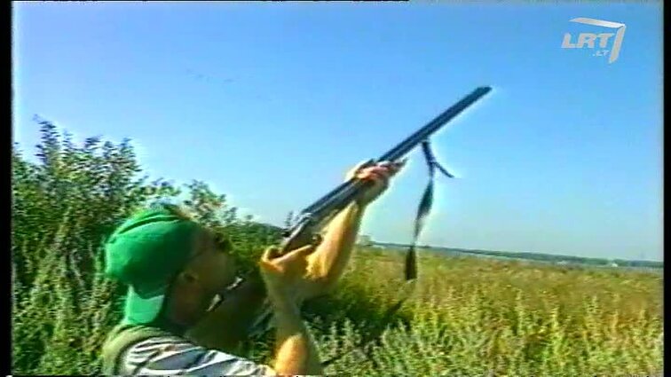 Panoramos archyvai. Ančių medžioklė