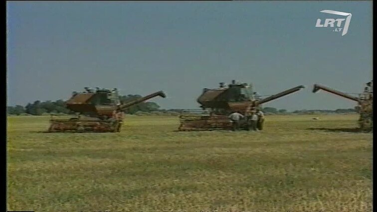 Panoramos archyvai. Pasienis ir grūdai