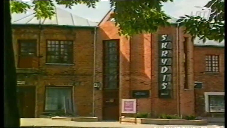 Panoramos archyvai. Nijolės Dariūtės-Maštarienės portretų paroda