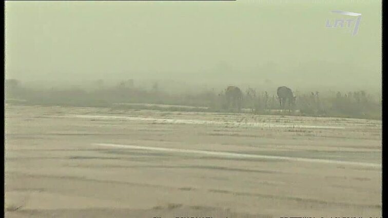Panoramos archyvai. Kėdainių aerodromo perspektyvos