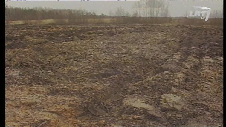 Panoramos archyvai. Elementų konteineriai užkasti Šilutės rajone