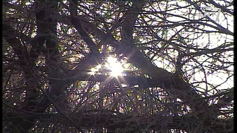 Panoramos archyvai. Giedraičių kautynėms 75-eri metai