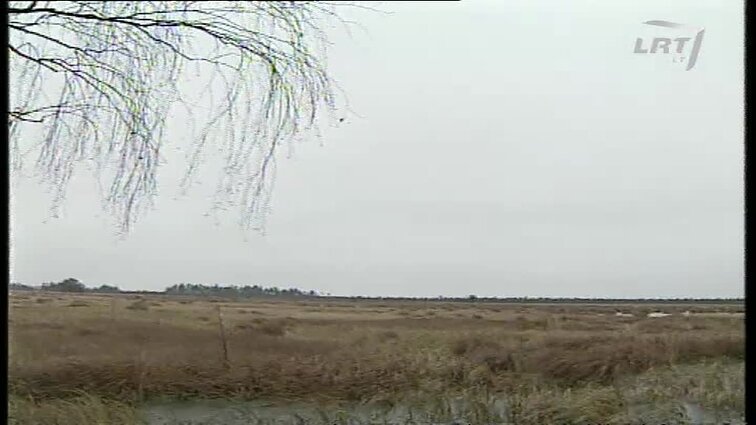 Panoramos archyvai. Čepkelių rezervatui 20 metų