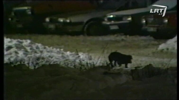 Panoramos archyvai. Verslininko mirtis