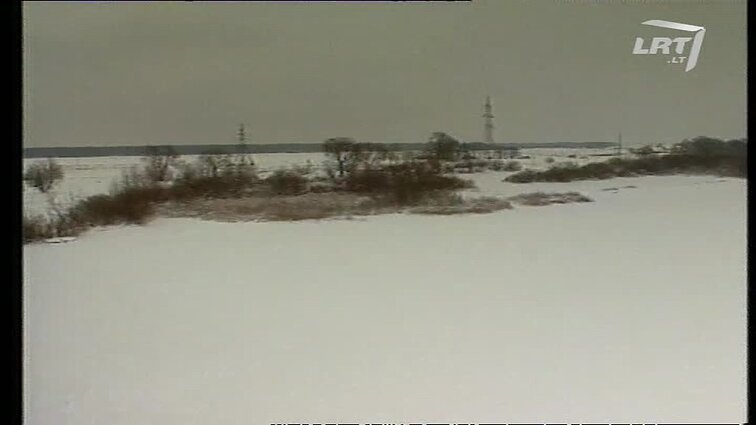 Panoramos archyvai. Potvynis bus netikėtas