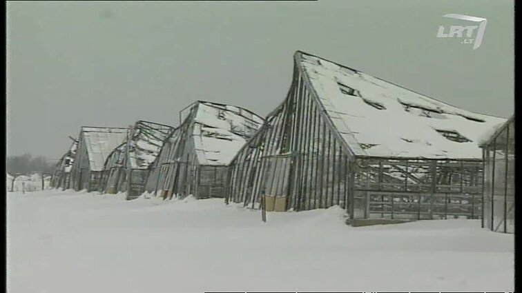 Panoramos archyvai. Pagirių šiltnamiai