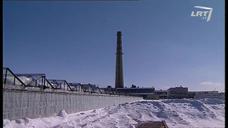 Panoramos archyvai. Vilniaus šiltnamiai