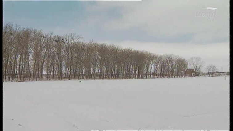 Panoramos archyvai. Negaliojančios nuomos sutartys
