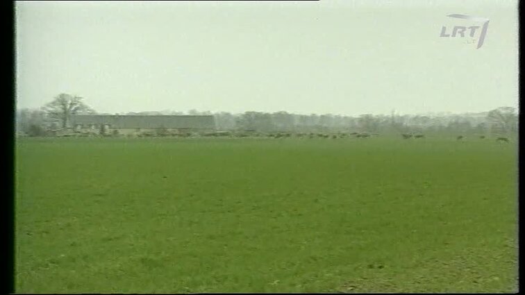 Panoramos archyvai. Ar nepateks užkrėsta jautiena į Lietuvą ?