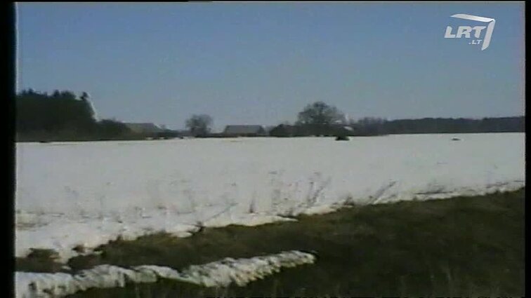 Panoramos archyvai. Ar pirksime grūdus iš užsienio ?