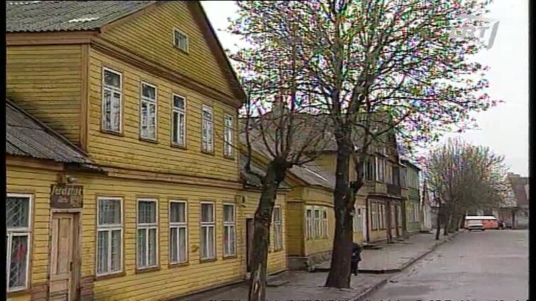 Panoramos archyvai. Kaimo vaikai ir jų motinų vargai