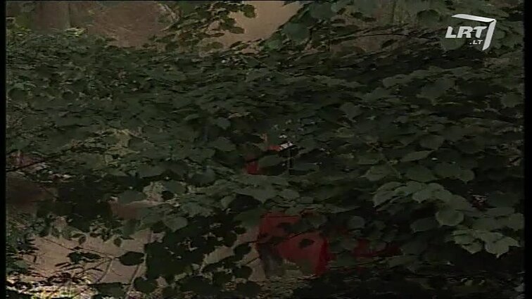 Panoramos archyvai. Naujas amerikiečių filmas