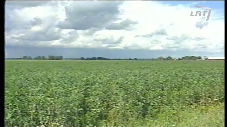 Panoramos archyvai. Prezidentas Pakruojo rajone