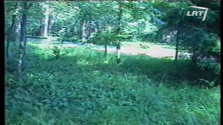 Panoramos archyvai. Ministrai susitinka Varnakalnyje