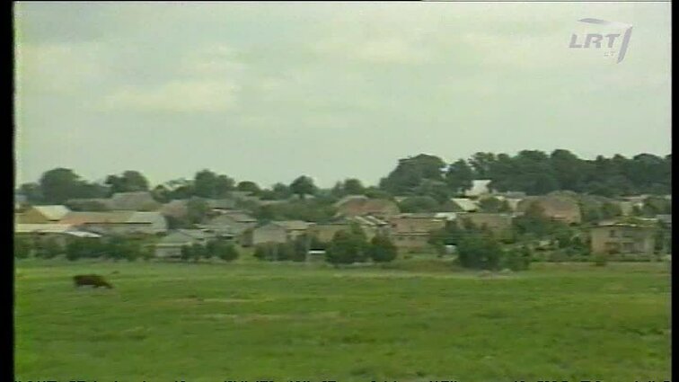 Panoramos archyvai. Bazilionams 410 metų