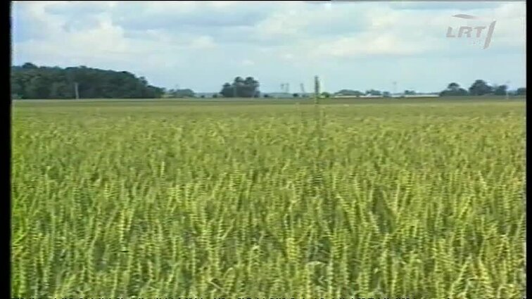 Panoramos archyvai. Joniškio rajono žemdirbių sąskrydis