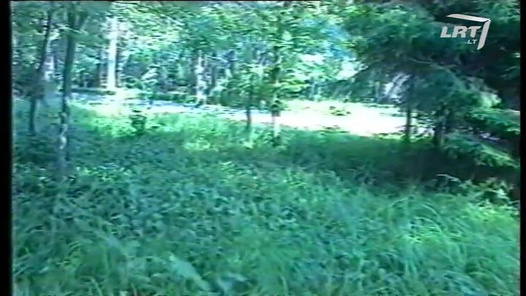 Panoramos archyvai. Slaptas Premjerų susitikimas