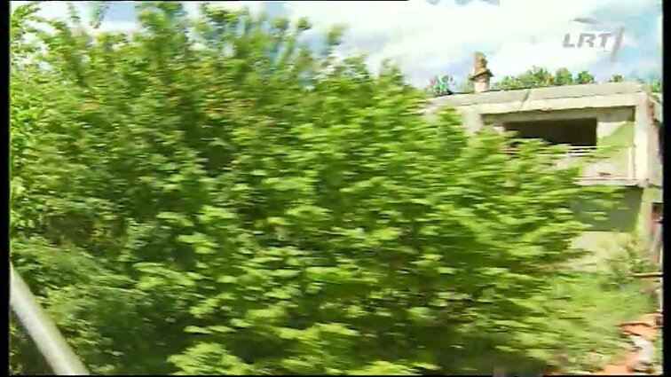 Panoramos archyvai. Atranka į Baltbatą