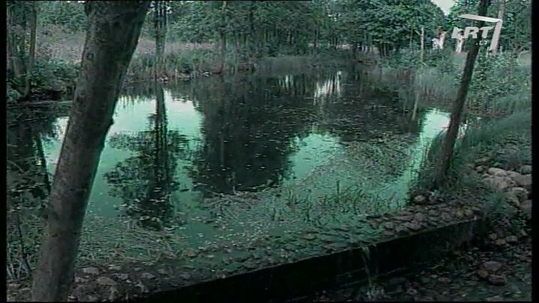 Panoramos archyvai. Bitininkystės muziejus