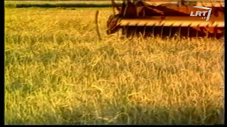 Panoramos archyvai. Apie grūdus ir žemės reformą