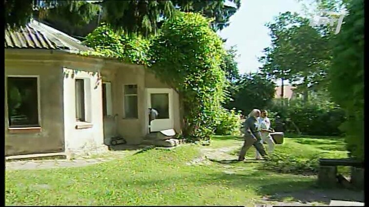 Panoramos archyvai. Vlado Vildžiūno nauji darbai ir privati galerija