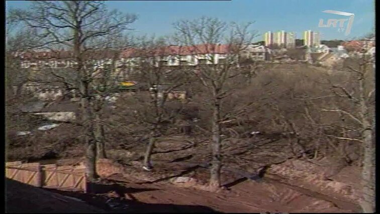 Panoramos archyvai. Vilniaus želdiniai naikinami