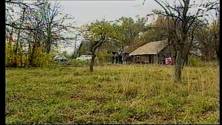 Panoramos archyvai. Ar Vytukas taps amerikiečiu